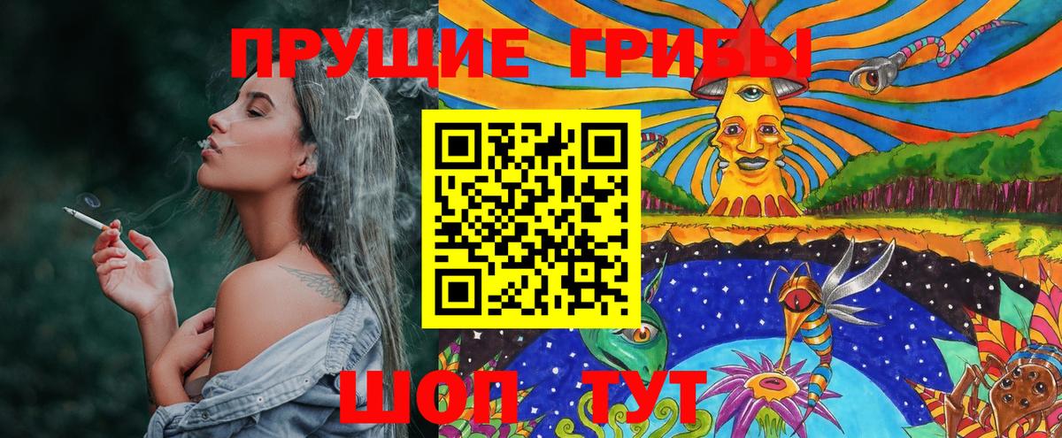 Псилоцибиновые грибы Cubensis  Вход с VPN  Псилоцибиновые грибы Psilocybe  Зерноград 
